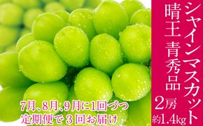 2026年予約受付中 シャインマスカット 晴王 7月8月9月に1回づつ出荷  3回 定期便 2房 1.4kg 人気 岡山県産 種無し 皮ごと食べる みずみずしい  フレッシュ 晴れの国 おかやま 果物大国 ハレノフルーツ