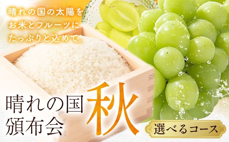 晴れの国頒布会 秋 選べる お届けコース 無洗米 5kg 10kg 20kg シャインマスカット 600g 1.2kg 2kg [ページ内記載の時期に発送]岡山県 笠岡市 フルーツ 旬 果物 葡萄 ぶどう コメ お取り寄せ---kasaoka_zsytei_367_o1---