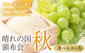 晴れの国頒布会 秋 選べる お届けコース 無洗米 5kg 10kg 20kg シャインマスカット 600g 1.2kg 2kg 《ページ内記載の時期に発送》岡山県 笠岡市 フルーツ 旬 果物 葡萄 ぶどう コメ お取り寄せ---kasaoka_zsytei_367_o1---