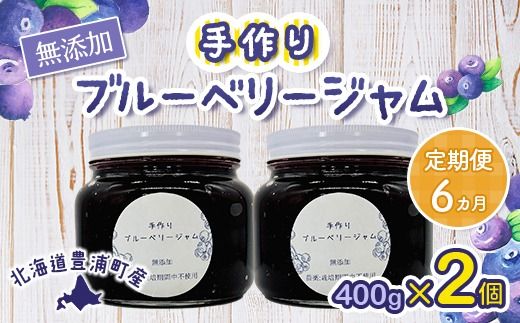 【定期便6カ月】北海道 豊浦町産 無添加手作り ブルーベリージャム400g×2個 TYUS012