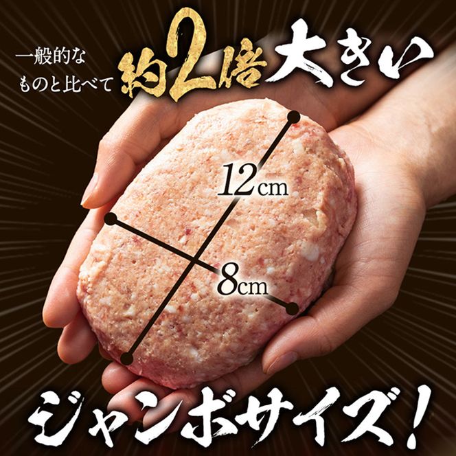 淡路島たまねぎどっさりジャンボハンバーグ プレーン＆チーズセット 200g×10個　ハンバーグ