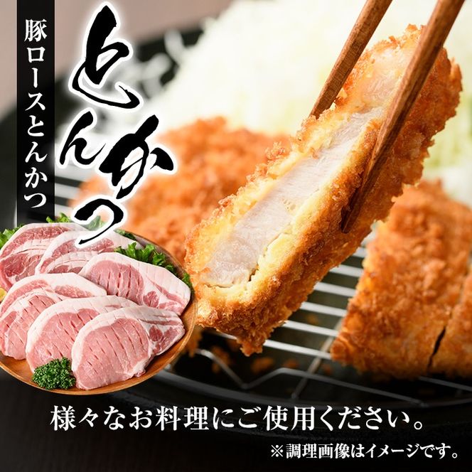 isa683 【定期便3回】小分け・真空パック！九州産豚肉3種セット(合計9.3kg・3.1kg×全3回) バラスライス ロース とんかつ 生姜焼き 真空包装 真空パック 小分け ぶたにく 豚 肉 詰合せ 詰め合わせ 食べ比べ 冷凍 【サンキョーミート株式会社】