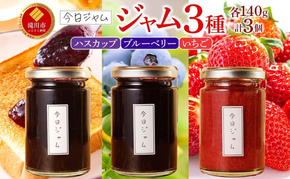 【ふるさと納税】ジャム3種セット 各1個 ハスカップジャム ブルーベリージャム いちごジャム  今日ジャム 北海道産 自家製 パン ヨーグルト 朝食 濃厚 甘い デザート スイーツ おやつ グルメ ご褒美 贅沢 ギフト 送料無料 北海道 滝川市