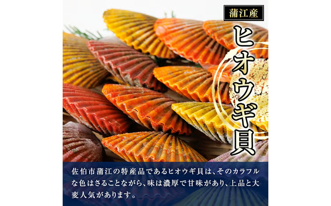 冷凍 ヒオウギ貝 (計20枚) 魚介 貝 ヒオウギ貝 ひおうぎ貝 酒蒸し 網焼き バター焼き バーベキュー 獲れたて 海の直売所 大分県 佐伯市【AS152】【海べ】