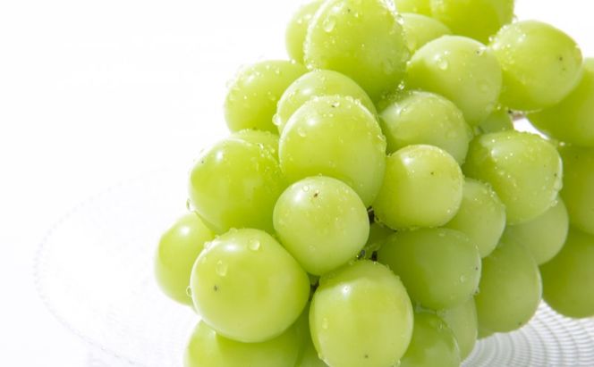 フルーツ 2026年 岡山のフルーツ 食べ切り 定期便 白桃 3玉 合計約800g／シャイン マスカット 1房 約500g もも 葡萄 ブドウ 岡山県産 フルーツ シャインマスカット 桃 果物 旬 定期便