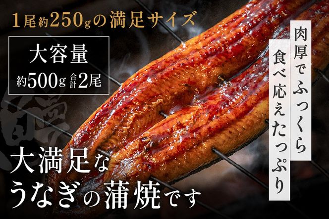 うなぎ蒲焼き2尾セット(約250g×2尾セット)【魚住商店】_HA1964 うなぎ 鰻 蒲焼 真空パック 福岡県宗像市 宗像市 福岡 宗像