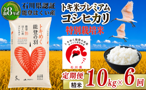 令和8年産 先行予約 新米予約 石川県産 コシヒカリ トキ米 精米 定期便 10kg ( 5kg × 2袋 ) × 6回 計 60kg 特別栽培米