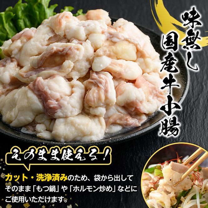 ＼テレビで紹介されました！／国産牛ホルモン2種セット(合計2kg) 国産 特産品 牛 小腸 味付 パック 詰め合わせ 詰合せ 炒め物 鍋 モツ おかず お弁当【スターゼン】akn031-01