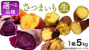 さつまいも 【 選べる品種 】 5kg / 10kg ( 箱込 ) サツマイモ さつま芋 芋 いも 野菜 焼き芋 スイーツ おやつ 国産 シルクスイート 紅はるか 紅あずま ふくむらさき ほしあかね