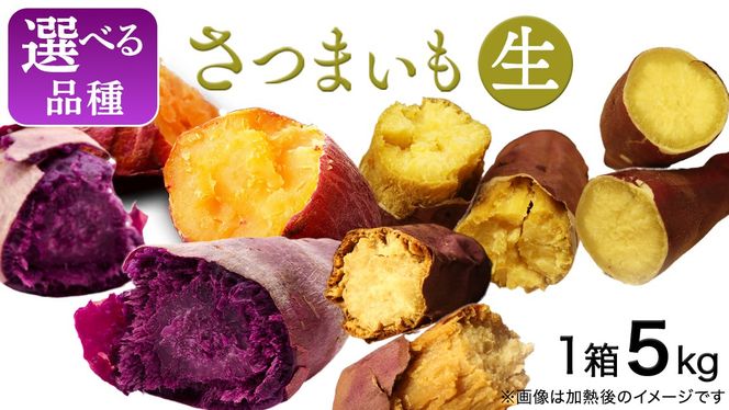 y錧vsz܂ y Iׂi z 5kg / 10kg (  ) Tc}C ܈    Ă XC[c  Y VNXC[g g͂邩 g ӂނ炳 ق