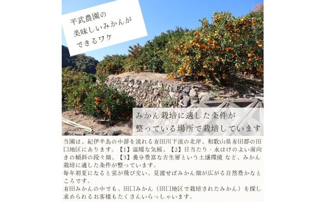農家直送！きよみオレンジ 3kg 無選別≪秀品・訳あり品・サイズ混合≫［平武農園］～蛍飛ぶ町から旬の便り～［2026年3月下旬から順次発送予定］ BX83