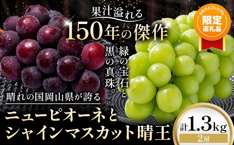 [ふるプレ限定品] ニューピオーネ シャインマスカット「 晴王 」 詰め合わせ 1.3kg 各1房 約650g [9月上旬-10月下旬頃発送]---yakage_loc_19_p---
