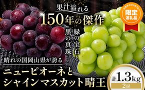【ふるプレ限定品】 ニューピオーネ シャインマスカット「 晴王 」 詰め合わせ 1.3kg 各1房 約650g 《9月上旬-10月下旬頃発送》---yakage_loc_19_h---