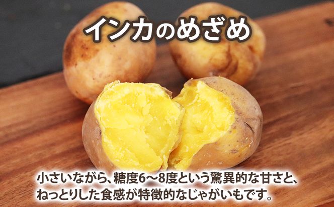 【2026年秋冬発送】濃厚な甘さ！黄金のじゃがいも インカの目覚め 約5kg 野菜 芋 インカ