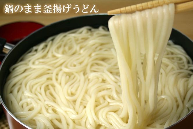 ふっくらモチモチ神埼生うどん 10袋入【麺 うどん 生うどん 釜揚げうどん】(H014145)