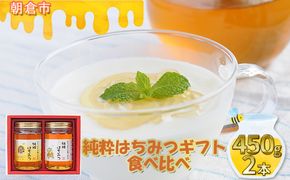 純粋はちみつギフト（450g×2本） 蜂蜜 アルゼンチン産 ミャンマー産 ひまわりの花 花の蜜 養蜂家 コクのある甘さ まろやかさの融合 藤井養蜂場 