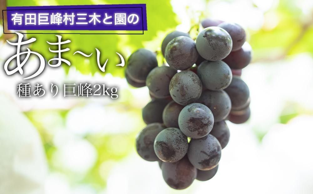 有田巨峰村三木と園のあま〜い種あり巨峰2kg