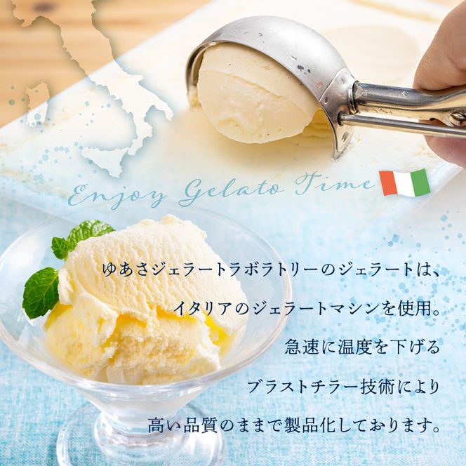 プレミアムジェラート24個詰め合わせセット（10種詰め合わせ）／ゆあさジェラートラボラトリー プレミアム ジェラート 24個 詰め合わせ セット 10種 ゆあさジェラートラボラトリー ミルク チョコレート 抹茶 湯浅醤油 天然塩 南高梅 みかん ほうじ茶 ピスタチオ もも アイスクリーム アイス 和歌山県 湯浅町 送料無料 _V7478