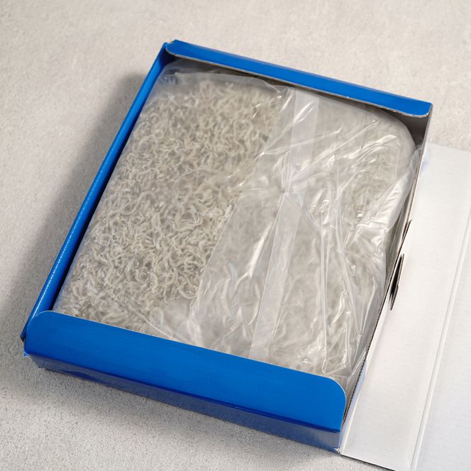 淡路島産ちりめんじゃこ 500ｇ 化粧箱入　ちりめん