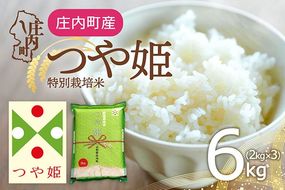 特別栽培米 つや姫 6kg 2kg×3袋 令和7年産 2025年産 庄内町産 余目産 余目町農協 あまるめ ブランド米 米 国産 単一原料米 山形 庄内平野 コシヒカリの原点、亀の尾発祥の地 庄内