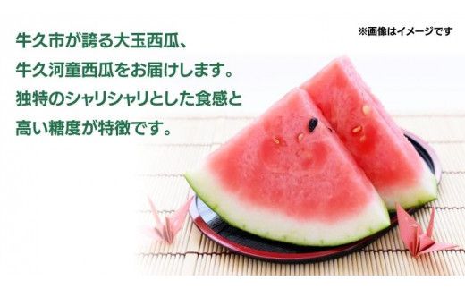 《 先行予約 》 牛久市産 河童 西瓜 L 2玉 ( 約 12kg ) 【 2026年6月中旬発送開始 】 果物 フルーツ Lサイズ スイカ すいか 期間限定 旬 国産 アイス シャーベット [DV008us]
