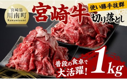 牛肉 宮崎牛切り落とし 1kg 【 肉 牛肉 国産 九州産 宮崎県産 黒毛和牛 和牛 切り落とし 小分け 】 [B11405]