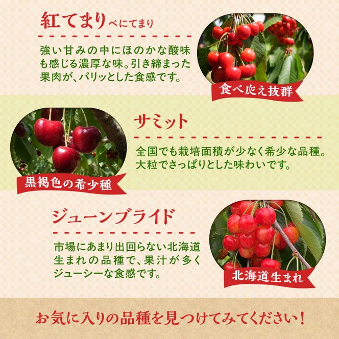 【2026年産 先行予約】＜北海道余市産＞さくらんぼ「紅てまり」（M～2Lサイズバラ詰め）500ｇ×2パック_Y103-0057