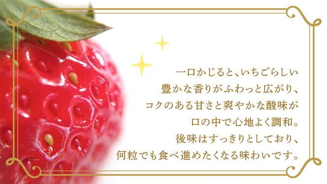 ＼選べる 内容量・発送方法／とちおとめ 約250g（15～18粒）2パック または 4パック 単品・定期便 3か月【2026年12月から発送開始】（茨城県共通返礼品 [いちご]：城里町産） 茨城県 県産 人気 厳選 果物 くだもの 旬 旬の果物 旬のフルーツ ギフト 贈答 いちご イチゴ 苺 とちおとめ