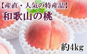【産直・人気の特産品】和歌山の桃　約4kg・秀品　※2025年6月下旬～8月上旬頃順次発送【tec911B】