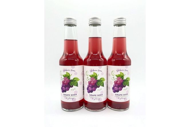 京丹後のぶどう炭酸ジュース（ソーダ） 小瓶3本入り（2026年9月下旬～発送）京丹後 ぶどう 葡萄 炭酸ジュース ソーダ しばの 飲料 ジュース ふるさと納税 ぶどう ふるさと納税 ジュース　SF00046