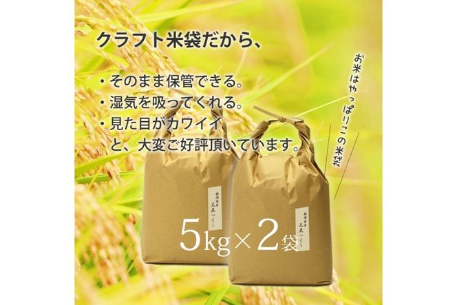 米 令和7年 玄米 元気つくし 5kg 2袋 計 10kg [ベネフィス 福岡県 宇美町 um40azp190012] 令和7年産 お米 ご飯 コメ ごはん