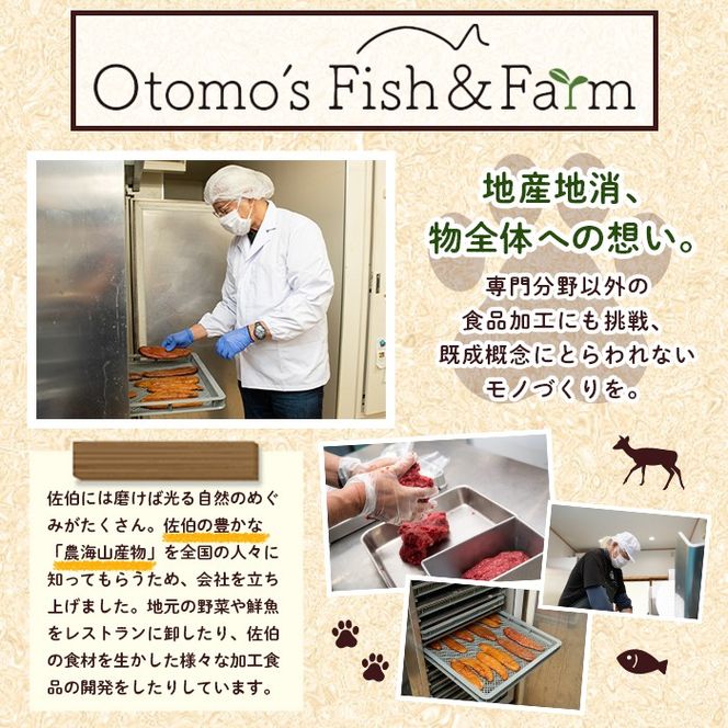 犬用 鹿肉ジャーキー (計150g・50g×3) ペットフード ドッグフード ペット ジビエ セミモイストタイプ 高たんぱく 低カロリー ヘルシー 鉄分 小型犬 シニア犬【GL003】【オートモズフィッシュアンドファーム】