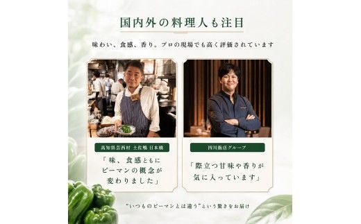 ピーマン 1kg P.SUKE（ピースケ）野菜 新鮮 みずみずしい 肉厚 料理 サラダ スティック野菜 野菜炒め 肉詰め 青椒肉絲 高知県 芸西村
