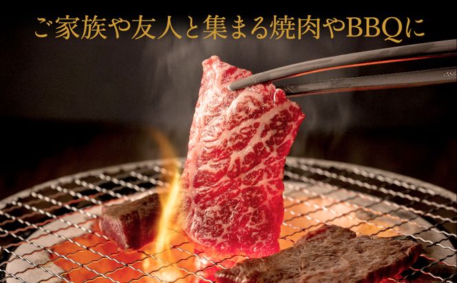 神戸牛 焼肉セット 牛肉 焼肉用 肩 もも 500g×2P / 焼き肉 セット 食べ比べ 牛 肉 霜降り 但馬牛 黒毛和牛 和牛 国産牛 焼肉 やきにく アウトドア キャンプ BBQ 太田牧場 太田牛 神戸ビーフ TYY2-2 【但馬牛太田家】【2026年4月より順次発送】