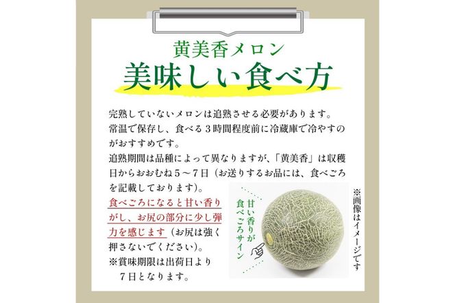 【先行予約／数量限定200】希少品種 黄美香（きみか）メロン 1玉（2025年7月下旬～発送）　DE00114