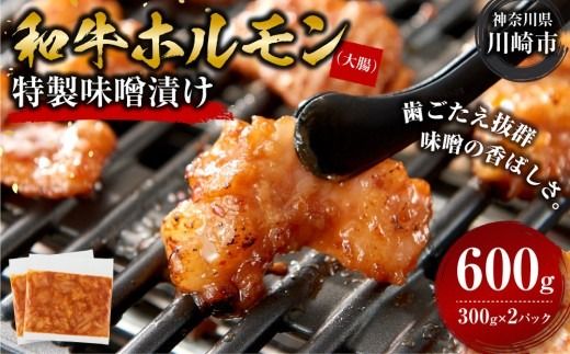 ホルモン 大腸 味噌漬け 600g ( 300g × 2 ) 歯ごたえ抜群 小分け 使いやすい 味付き 調理便利 焼肉 野菜炒め ホルモン炒め 訳あり 不揃い 和牛 冷凍 配送時期が選べる 個包装 冷凍保存 アウトドア キャンプ おすすめ 人気