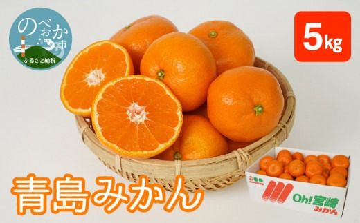 y{茧sz݂ 5kg N0132-YA4436