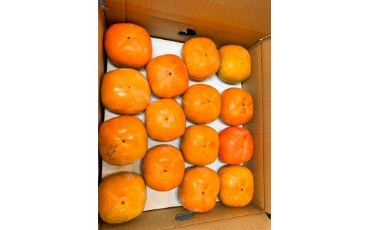 【ご家庭用わけあり】和歌山秋の味覚　富有柿　約7.5kg 【uot719A】