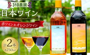 ３１０農園・日本ワイン（小公子/赤ワイン・デラウエア/オレンジワイン　セット） 313726_CA004