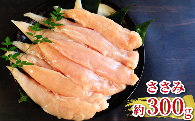 地鶏 愛媛 媛っこ地鶏 もも むね ささみセット 約1.7kg 鶏肉 鳥肉 肉 チキン むね肉 もも肉  焼肉 焼き鳥  BBQ 冷凍 国産 高級 タンパク質 低脂肪 糖質 唐揚げ チキン南蛮 サラダチキン スープ 出汁 ダイエット 愛南町 送料無料 ローカルスタンダード