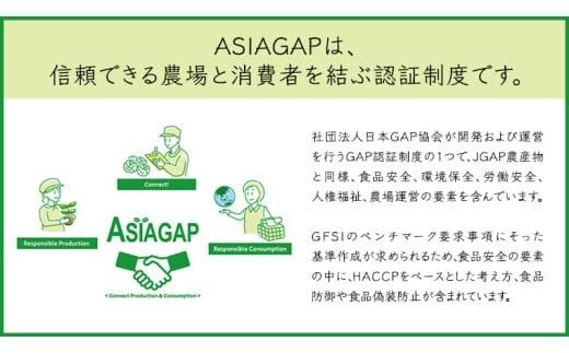 ASIAGAP認証農場 の 自然薯 1kg 茨城県 筑西市産 じねんじょ 山芋 芋 イモ いも とろろ 山菜 ASIAGAP [DD001ci]