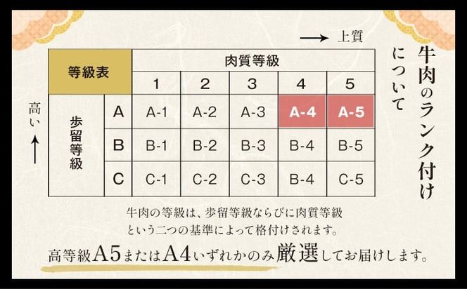 黒毛和牛 A4～A5等級 選べる 霜降り 赤身 すき焼き しゃぶしゃぶ 極上 スライス 600g 1200g 数量限定 牛肉 冷凍 くまもと黒毛和牛 《30日以内に出荷予定(土日祝除く)》 冷凍庫 個別 以内 ブランド牛 1kg 以上 1.2kg 赤身 霜降り---gkt_fkkgksr_30d_14000_600g_as---
