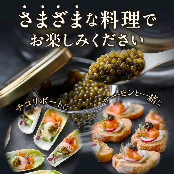 【純国産キャビア】皇帝の涙スペシャルセレクション 60g 国産 チョウザメ キャビア オシェトラ 食べ比べ