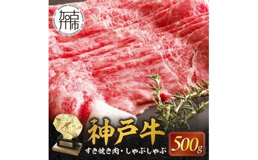 yɌÐsz_ˋԐgĂEԂ(500g)s _ˋ Жq꒼ ̃qC Ă Ԃ Y       ty2402A00108z