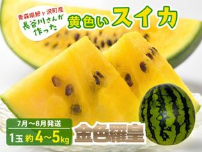 【先行予約2026年産】長谷川さんが作った黄色いスイカ 1玉 約4～5kg（品種：金色羅皇）7月～8月発送 青森県鰺ヶ沢町産 果物 フルーツ デザート 旬の果物 おやつ 