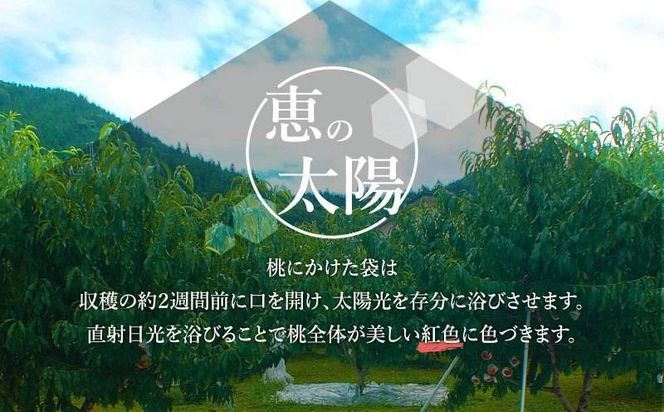 【2025年先行予約】都留市産　厳選　桃　詰め合わせ GV001