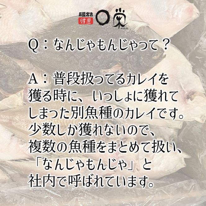 訳あり なんじゃもんじゃ 未利用魚 かれい 2kg セット 詰め合わせ 干し魚 干物 ひもの カレイ 魚 魚介 魚介類 冷凍 訳アリ 岩手 岩手県 宮古市