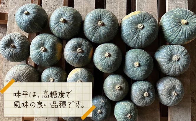【 訳アリ 】 かぼちゃ じゃがいも 約 10kg 10月 発送 予定 リストファーム サイズ 混合 馬鈴薯 キタカムイ 南瓜 カボチャ 芋 ポテト イモ 産地直送 野菜