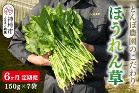 【定期便6回】ほうれん草 約1kg（150g x 7袋）【合計 約6kg】(H091120)