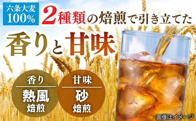 麦茶 600ml × 24本 糸島市 / スターナイン お茶 ペットボトル [ARM005] お茶 ペットボトル 500ml 24本 麦茶 国産 ノンカフェイン 常温